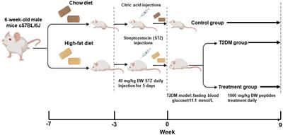 Pea protein hydrolysate reduces blood glucose in high-fat diet and streptozotocin-induced diabetic mice